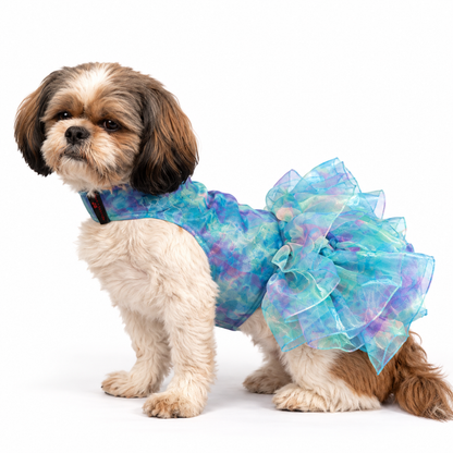 Blue Frilly Dress | For Dogs | Pawgy Pets