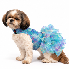 Blue Frilly Dress | For Dogs | Pawgy Pets