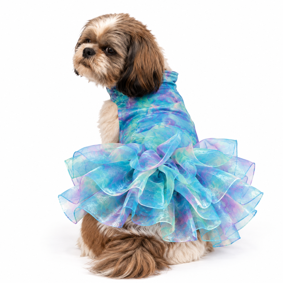 Blue Frilly Dress | For Dogs | Pawgy Pets