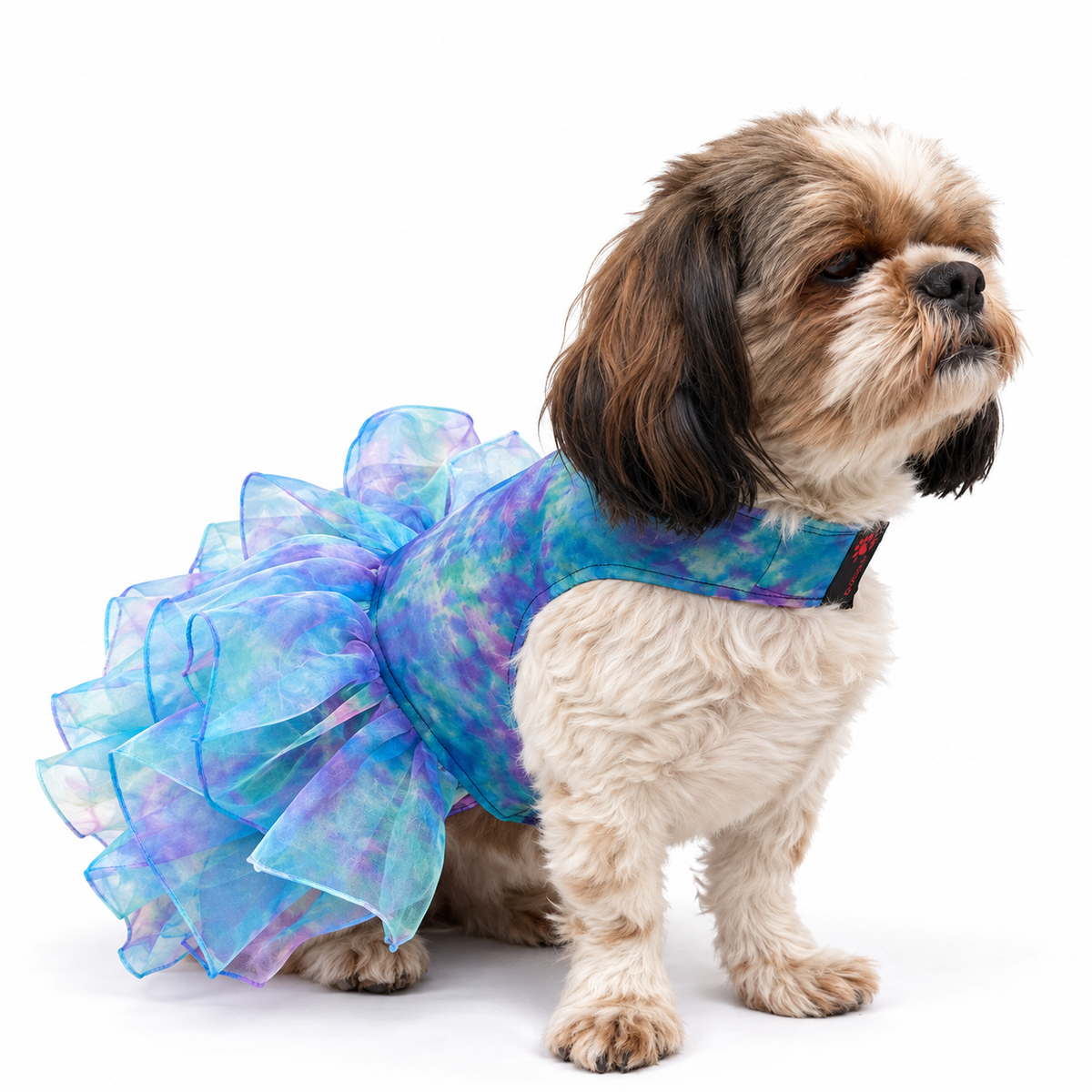 Blue Frilly Dress | For Dogs | Pawgy Pets