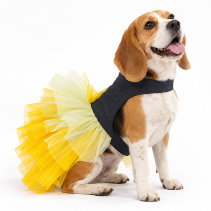 Denim Frill Dress | For Dogs | Pawgy Pets