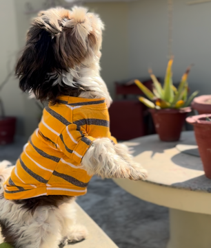 Round Neck T-shirt Yellow