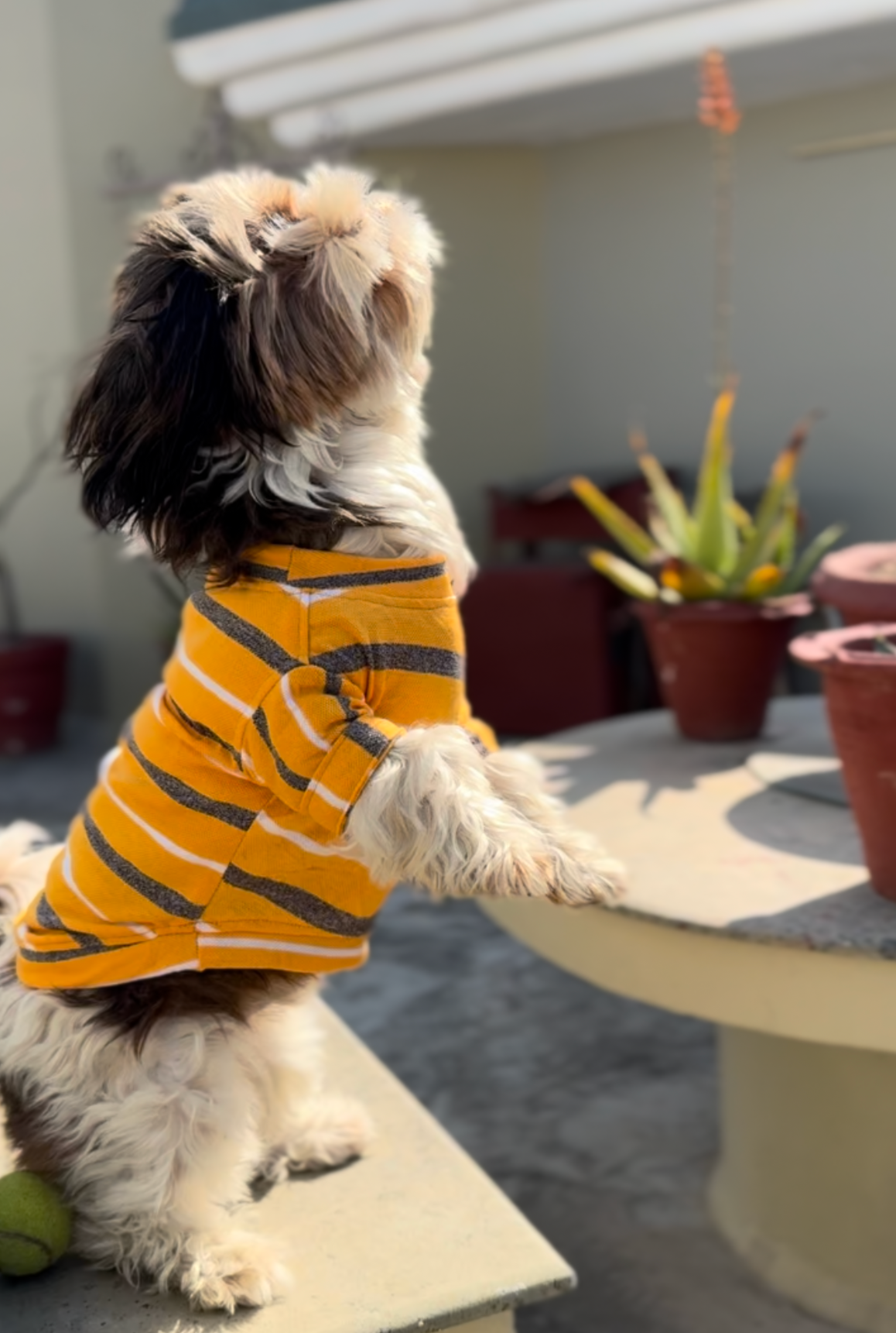 Round Neck T-shirt Yellow