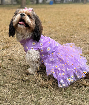 Pawgy Pets Frilly Dress Purple for Dogs