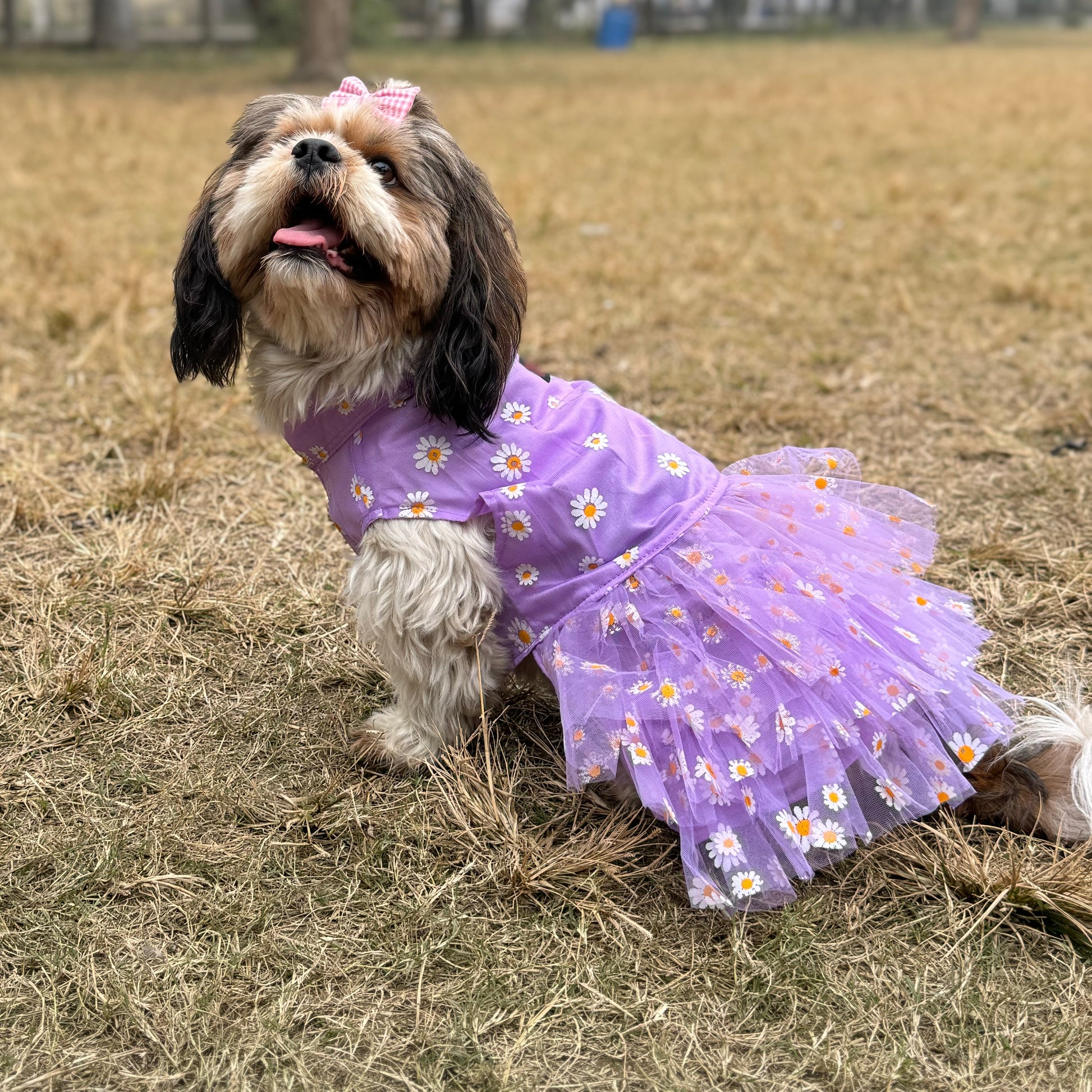 Dog Dress, Female dog dress, shihtzu birthday dress, dog birthday dress Dog Dress, Female dog dress, shihtzu birthday dress, dog birthday dress