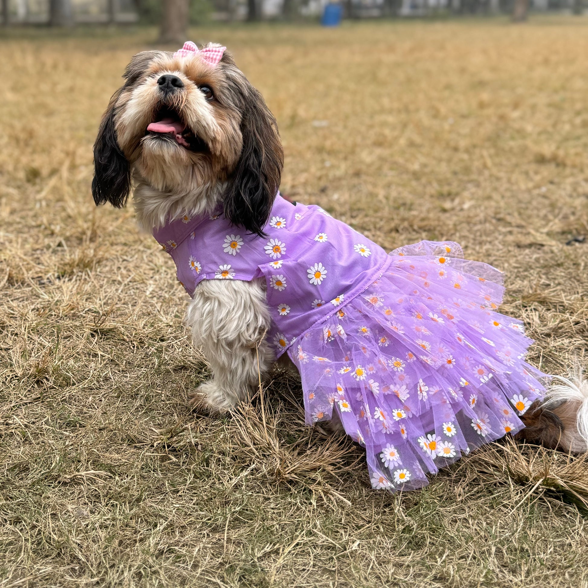 Pawgy Pets Frilly Dress Purple for Dogs