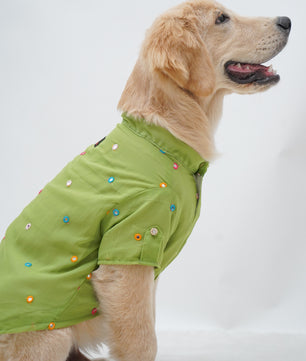 Pawgy Pets Festive Shirt Pista Green for Dogs