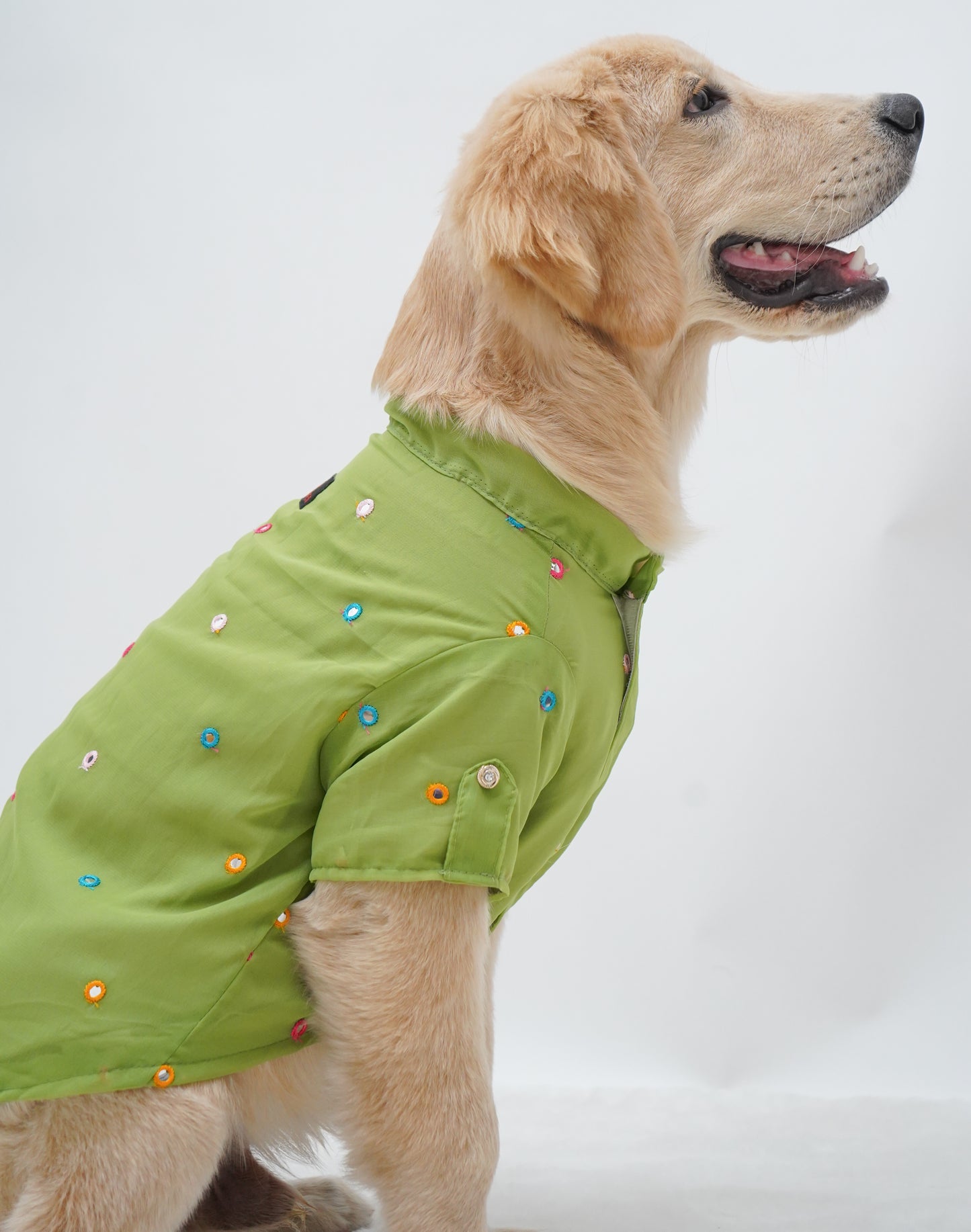 Pawgy Pets Festive Shirt Pista Green for Dogs