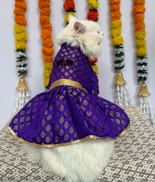 Pawgy Pets Occasion wear Dress Purple: Cat