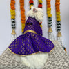 Purple Occasion Wear Dress | For Cats | Pawgy Pets