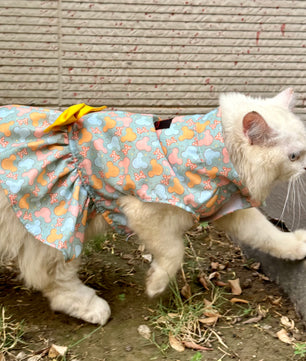 Pawgy Pets Mickey Overloaded Dress Pastel Green   (Cat)