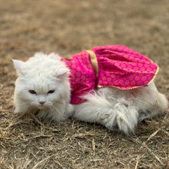 Pawgy Pets Occasion wear Dress Pink: Cat
