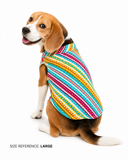 Multi Lehriya & Bandani Kurta Set | Pack of 2 | Pawgy Pets