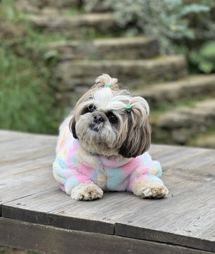 Pawgy Pets Fur sweater: Pastel Rainbow for Dogs & Cats