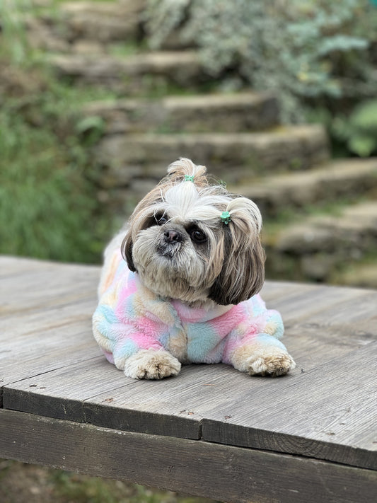 Pawgy Pets Fur sweater: Pastel Rainbow for Dogs & Cats