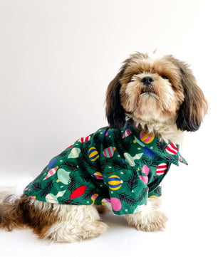 Pawgy Pets Warm winter Shirt: Green for Dogs & Cats