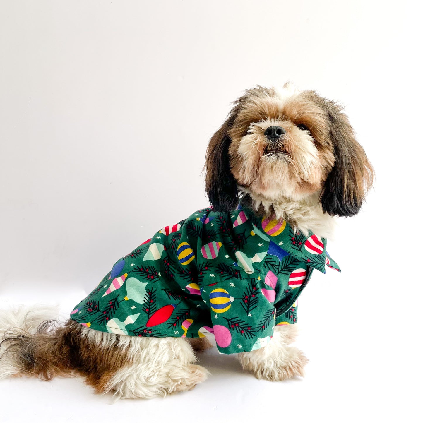 Pawgy Pets Warm winter Shirt: Green for Dogs & Cats