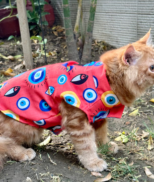 Pawgy Pets Nazar na Lage Sando (Cat)