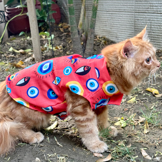 Pawgy Pets Nazar na Lage Sando (Cat)