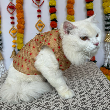 Pawgy Pets Sherwani Golden for Cats