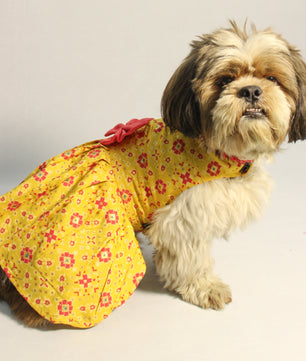 Pawgy Pets Block Print Bandani Dress Yellow for Dogs