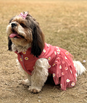 Pawgy Pets Frilly Dress Rusty Pink for Dogs