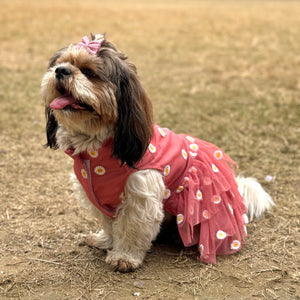 Rusty Pink Frilly Dress | For Dogs | Pawgy Pets