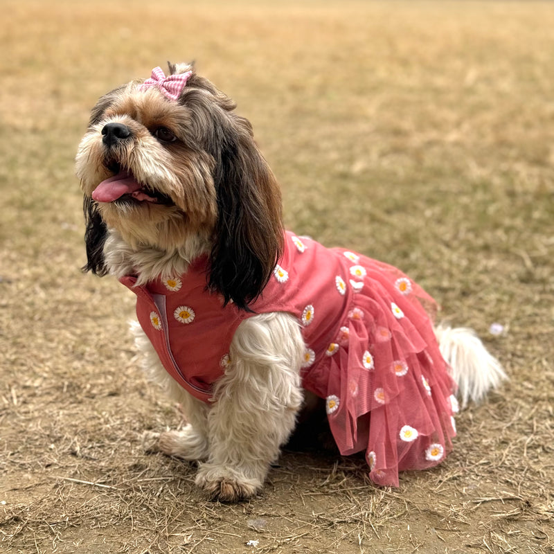 Rusty Pink Frilly Dress | For Dogs | Pawgy Pets