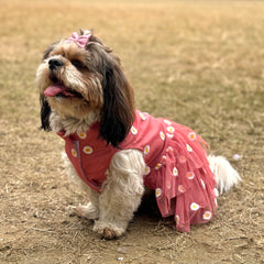Pawgy Pets Frilly Dress Rusty Pink for Dogs