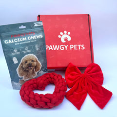 Pawgy Pets Valentine Cupid hamper for Dog and Cats