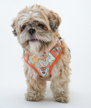 Pawgy Pets Padded Harness Mickey