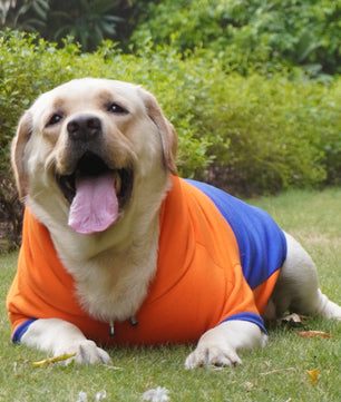 Pawgy Pets Stripe Hoodie Pet Sweatshirt - Orange n Blue