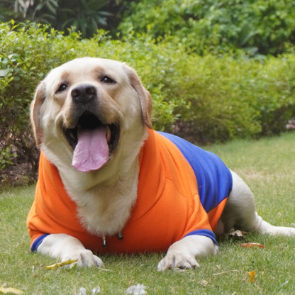 Orange & Blue Stripe Hoodie Sweatshirt | For Dogs & Cats | Pawgy Pets