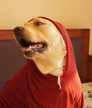 Pawgy Pets Heart Hoodie Pet Sweatshirt - Maroon