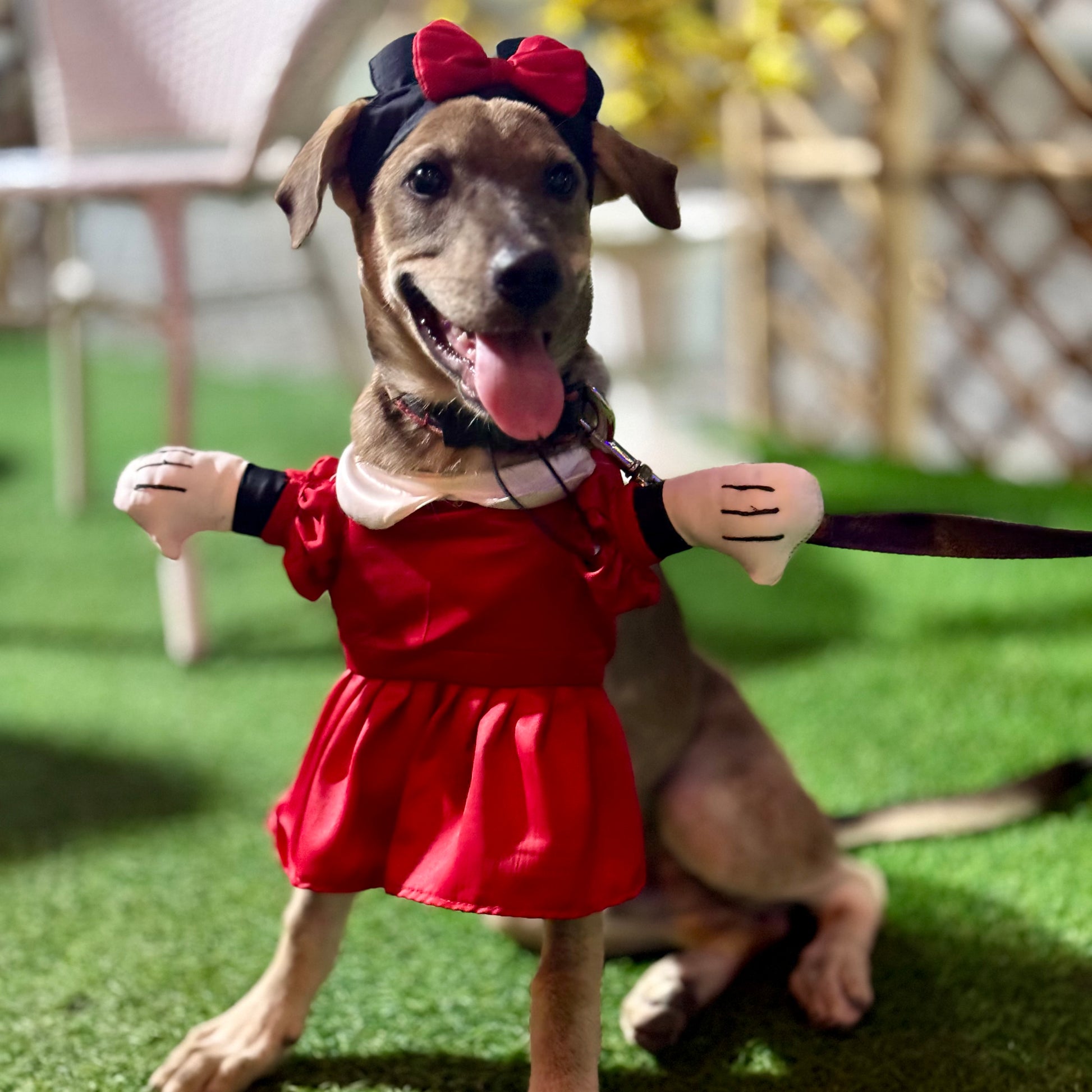 Pawgy Pets Minnie Mouse Dog Costume
