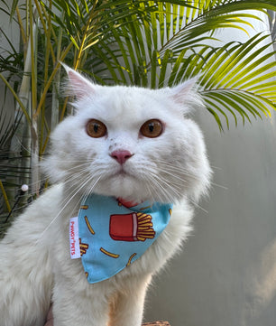 Pawgy Pets Casual Bandana: Fries for Cats and Dogs