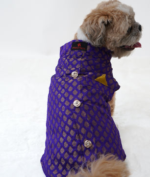 Pawgy Pets Sherwani Purple for Dogs