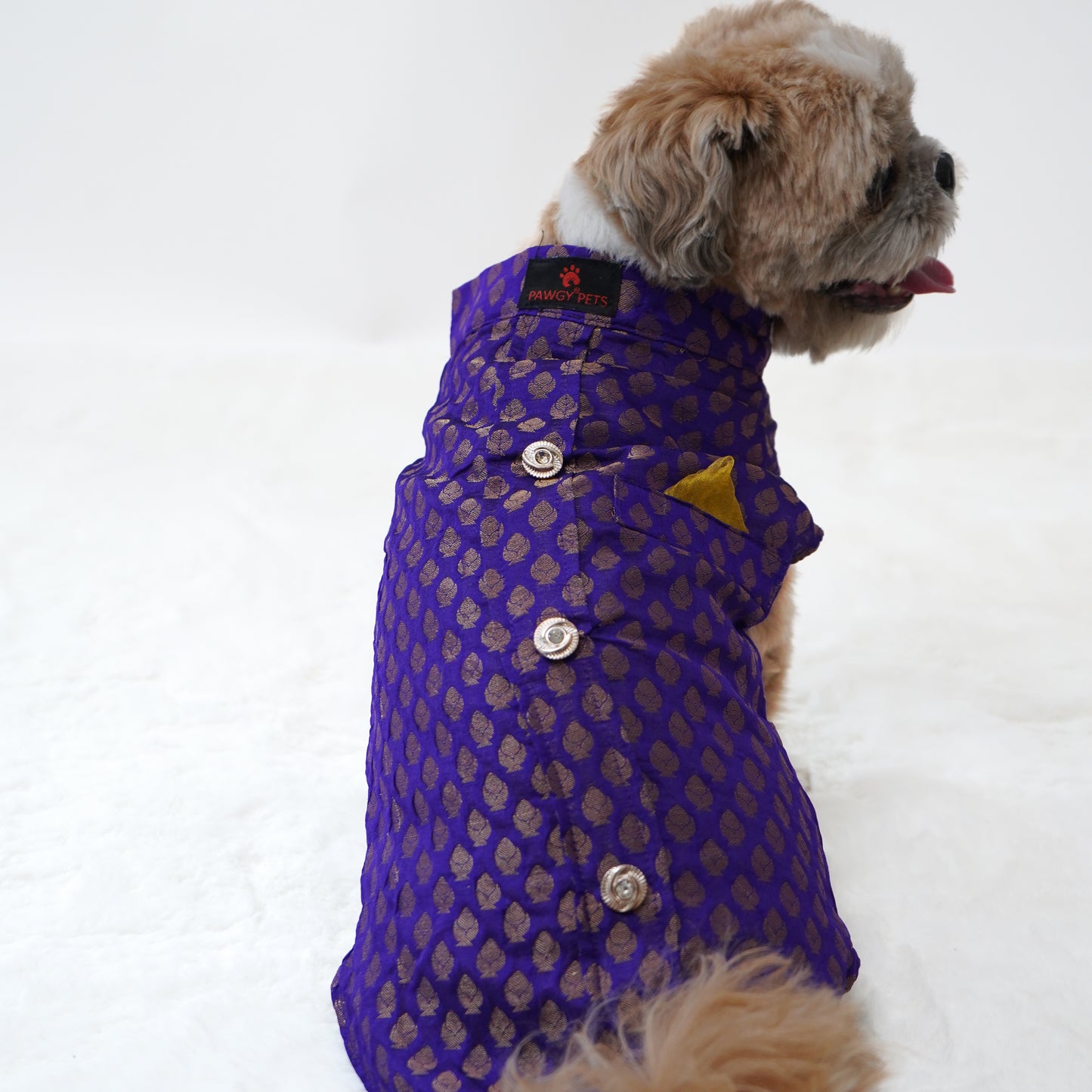 Pawgy Pets Sherwani Purple for Dogs