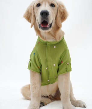 Pawgy Pets Festive Shirt Pista Green for Dogs