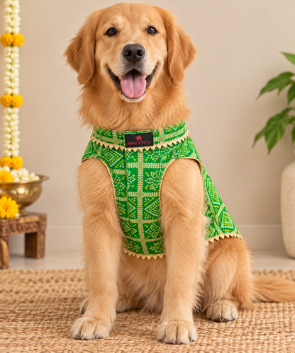 Green Bandhani Kurta | For Dogs | Pawgy Pets