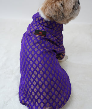 Pawgy Pets Occasion wear Shirt Purple for Dogs