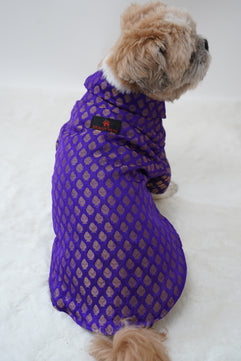Pawgy Pets Occasion wear Shirt Purple for Dogs