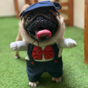 Dungaree | Fun Costume | Pawgy Pets