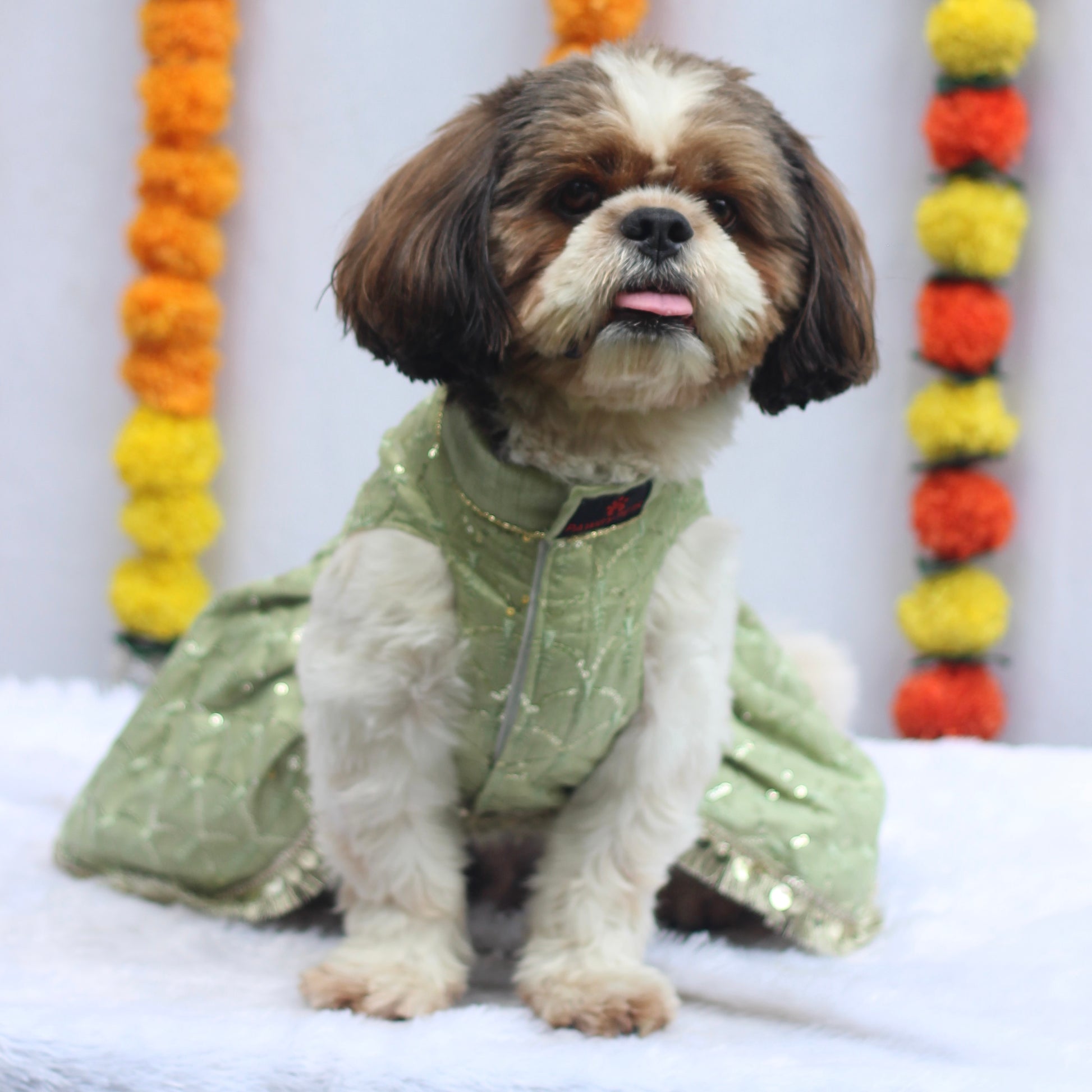 Pawgy Pets Shahi Lehenga- Dress Pastel Green for Dogs & Cats