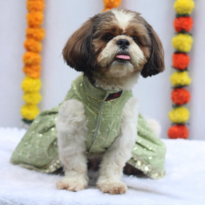 Pastel Green Shahi Lehenga Dress | For Dogs | Pawgy Pets