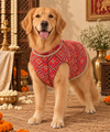 Red Patola Kurta | Luxe Collection | Pawgy Pets