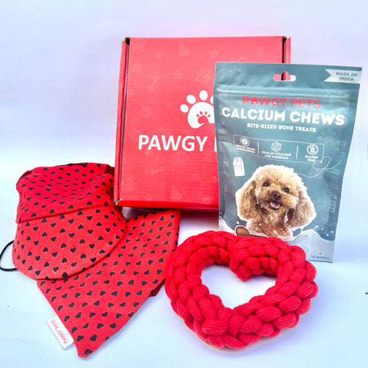 Pawgy Pets Valentine Love-struck hamper for Dogs