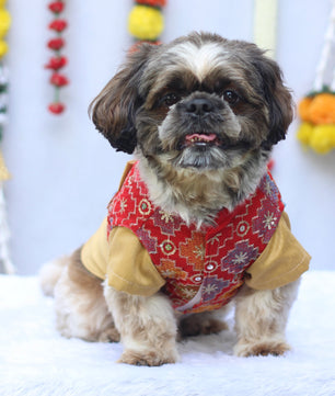 Pawgy Pets Kurta Koti Beige & Red for Dogs