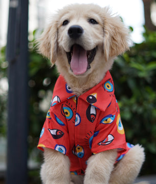 Pawgy Pets Nazar na lage Shirt Red for Dogs
