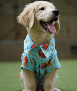Pawgy Pets Fries over guys Shirt Blue for Dogs